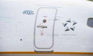 The small logo signifying the 8,000th 737. (Boeing)
