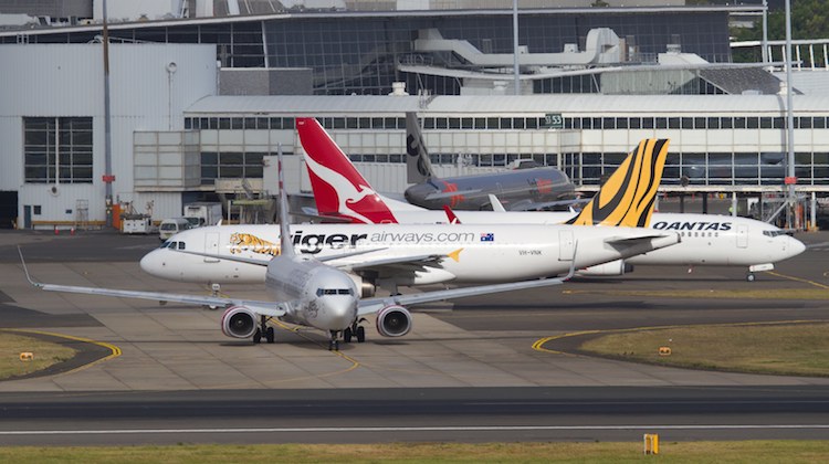 Australia's domestic carriers at Sydney Airport. (Seth Jaworski)