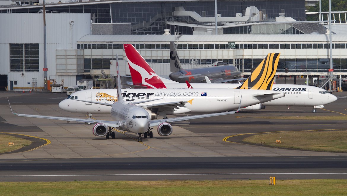 Australian domestic carriers at Sydney Airport. (Seth Jaworski)