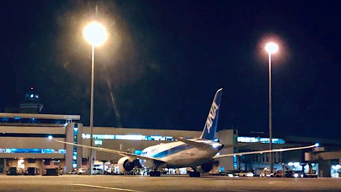 ANA Boeing 787-8 JA814A at Perth Airport. (Perth Airport/Twitter)